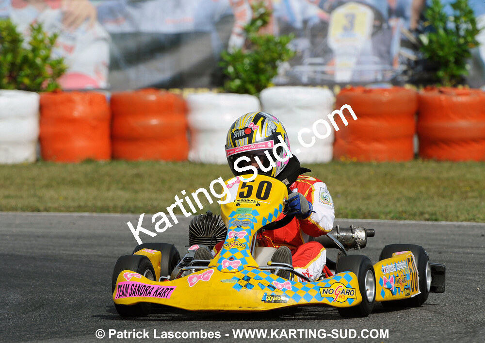 11 & 12/07/2009 : Défi France KFS 2009 à Saint-Amand (photos Patrick Lascombes) 2009 — karting