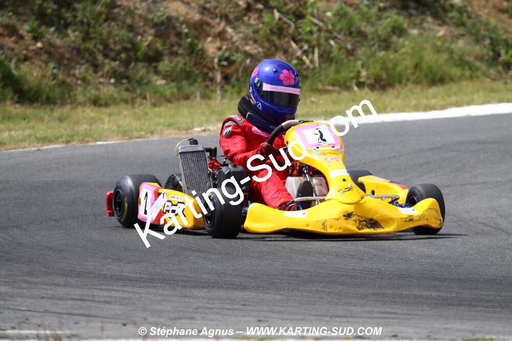11 & 12/07/2009 : Coupe de France Minikart et Féminin à Layrac (photos Stéphane Agnus) 2009 — karting