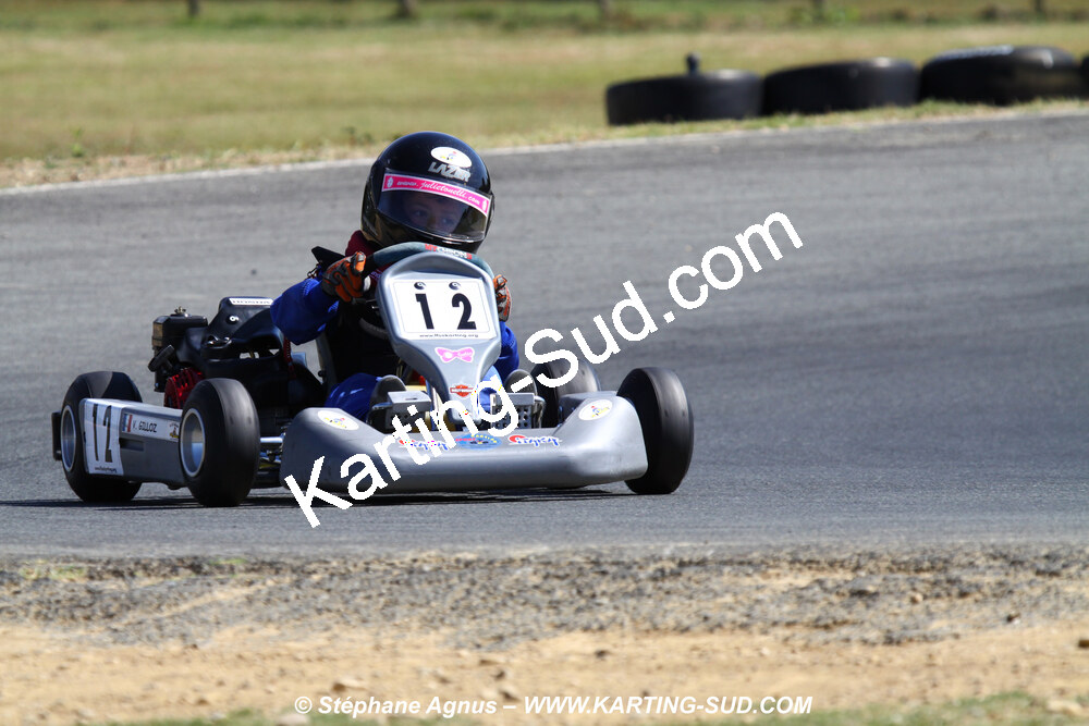 11 & 12/07/2009 : Coupe de France Minikart et Féminin à Layrac (photos Stéphane Agnus) 2009 — karting