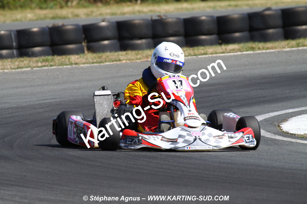 11 & 12/07/2009 : Coupe de France Minikart et Féminin à Layrac (photos Stéphane Agnus) 2009 — karting