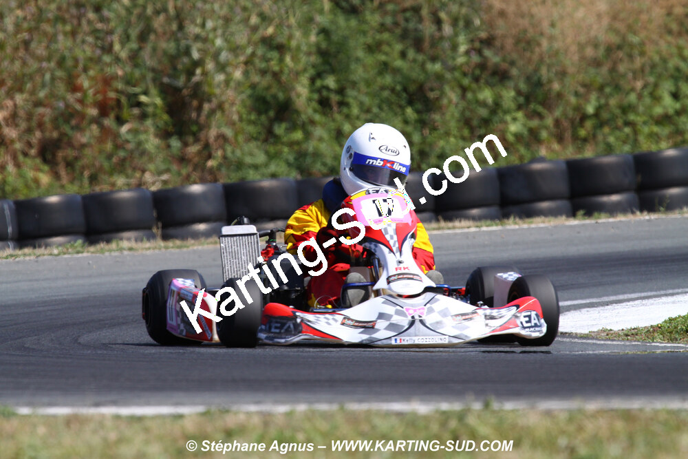 11 & 12/07/2009 : Coupe de France Minikart et Féminin à Layrac (photos Stéphane Agnus) 2009 — karting