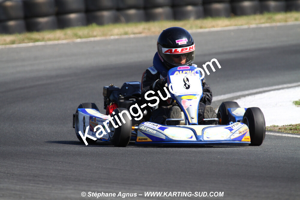 11 & 12/07/2009 : Coupe de France Minikart et Féminin à Layrac (photos Stéphane Agnus) 2009 — karting