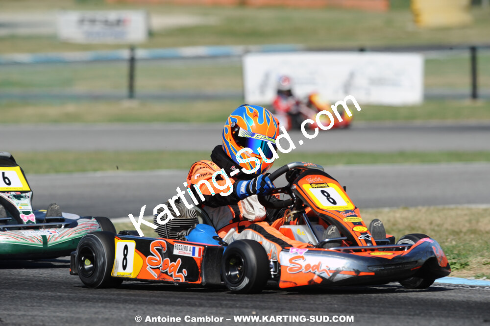 DSC_2290.JPG