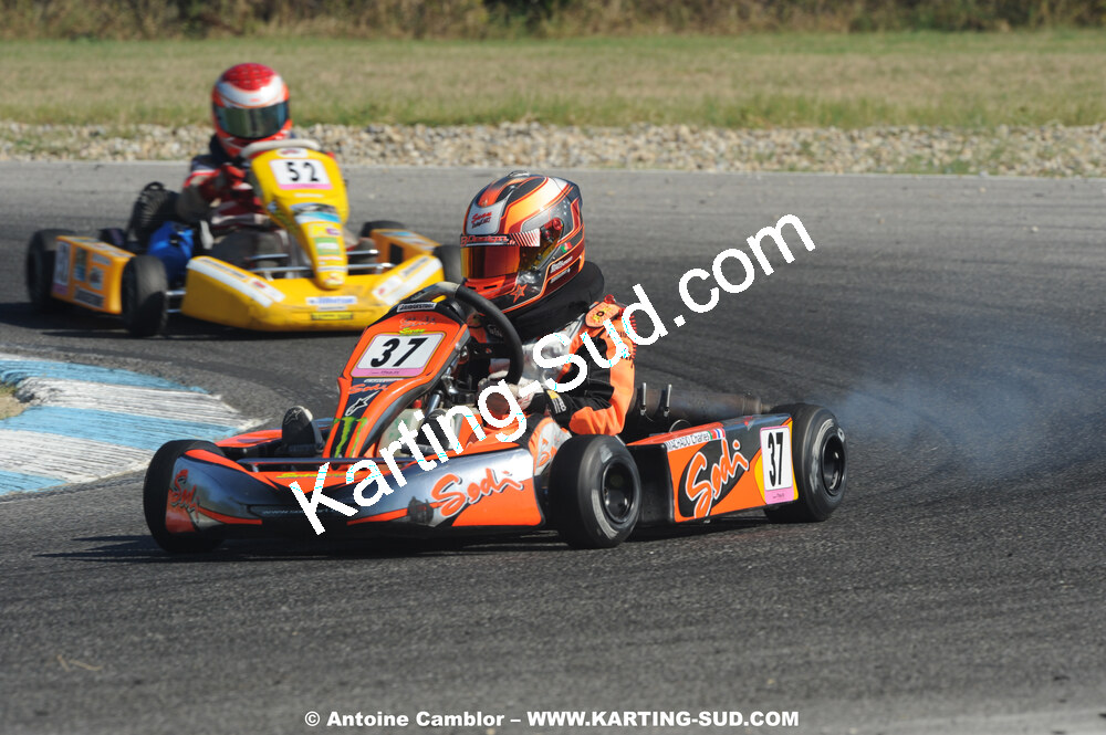 DSC_3335.JPG