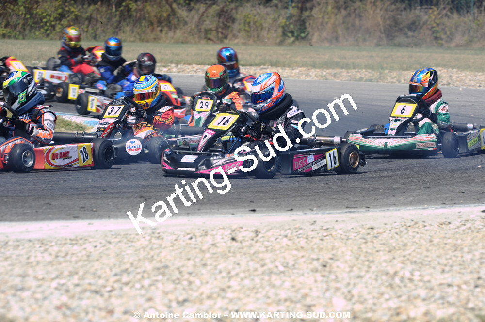DSC_3766.JPG