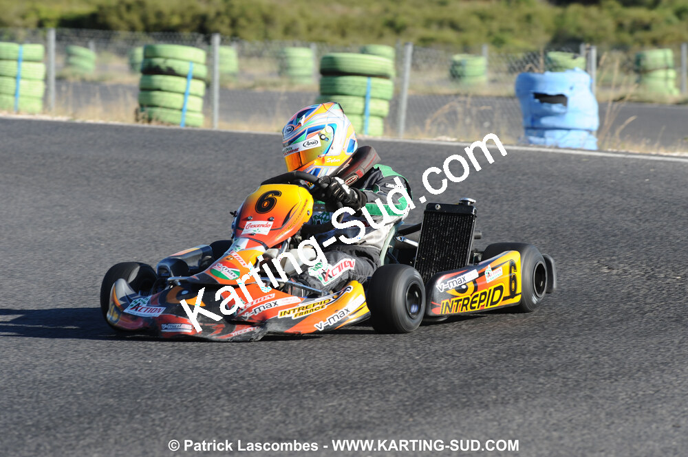 DSC_7701.JPG