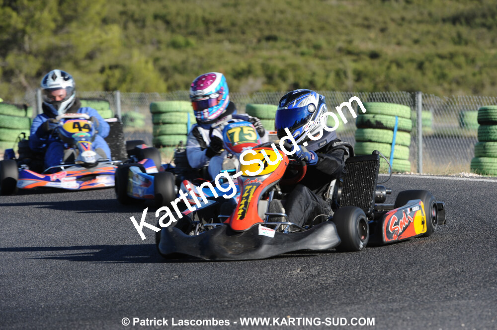 DSC_7715.JPG