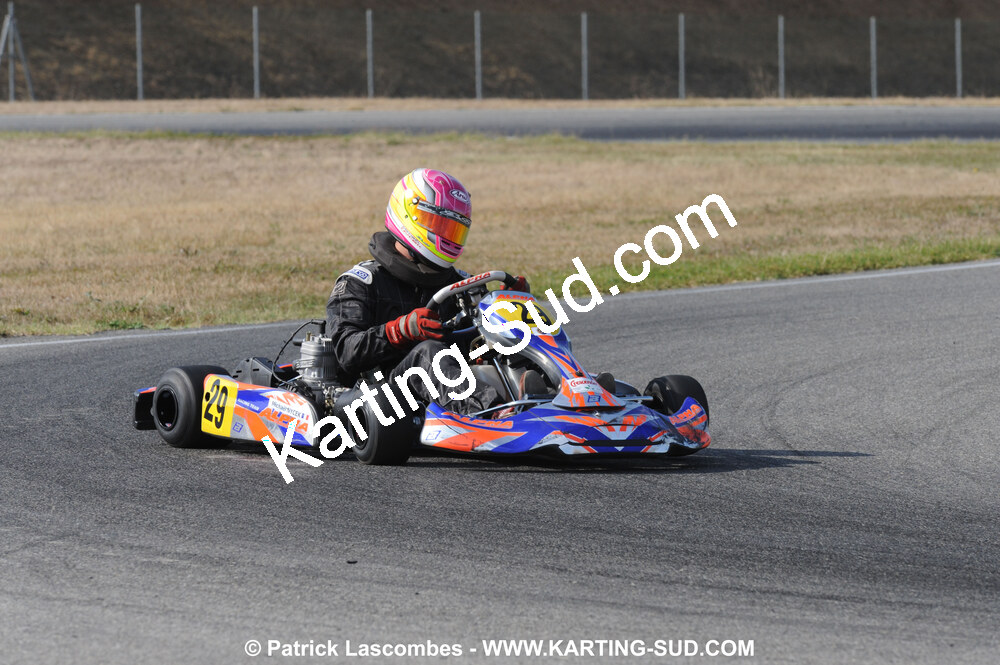 DSC_2913.JPG