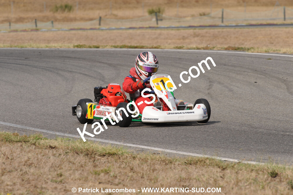 DSC_3127.JPG