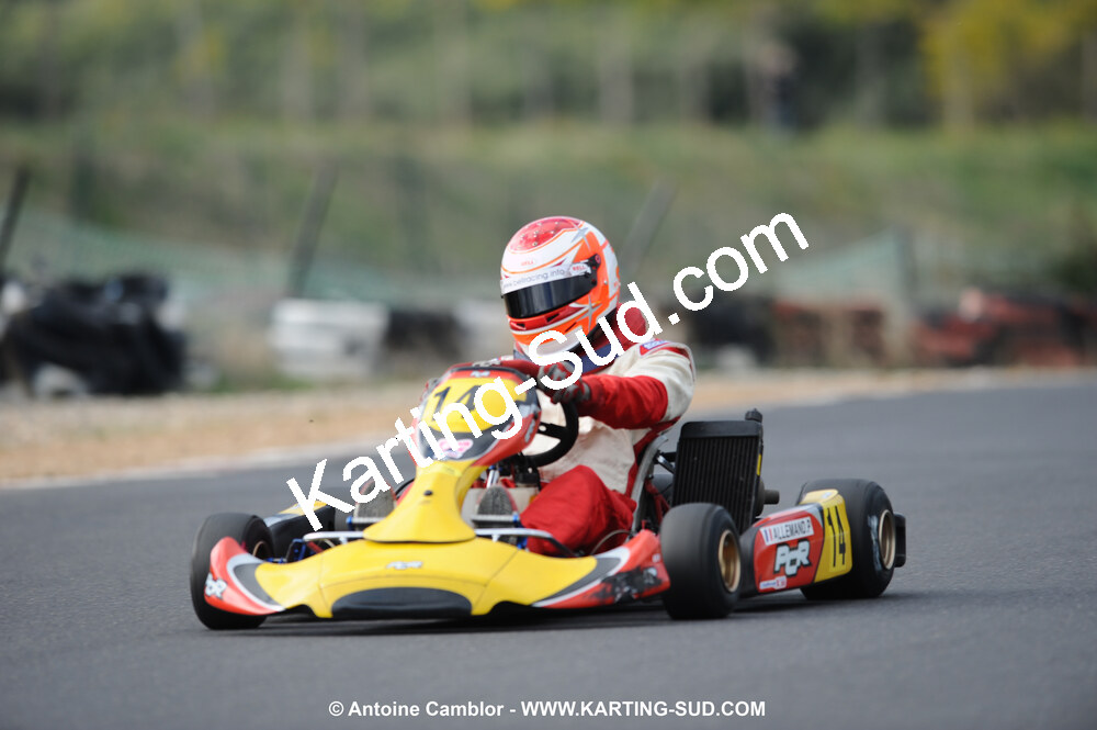 DSC_4113.JPG