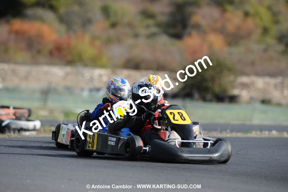 DSC_4224.JPG