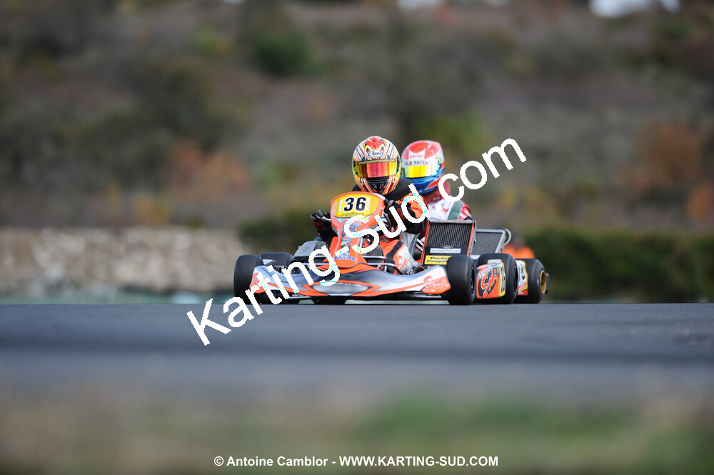 DSC_4542.JPG
