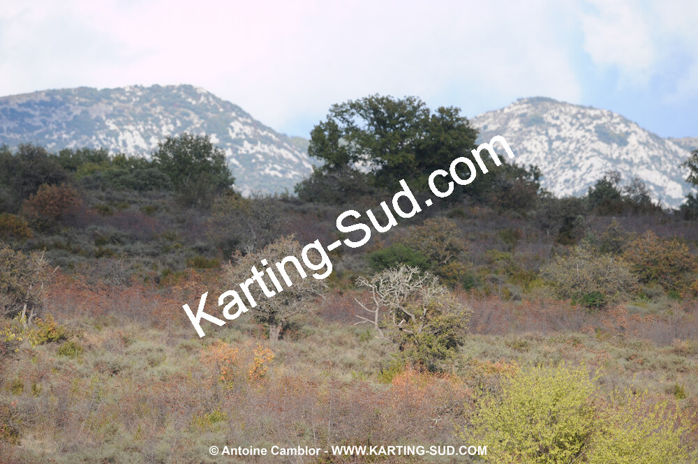 08/11/2009 : 5ème manche du Championnat du Sud 2009 à Ganges (photos Antoine Camblor) 2009 — karting