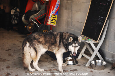 21/02/2010 : 1ère manche du Trophée Vincent Sanchez à Lavelanet (photos Antoine Camblor) 2010 — karting
