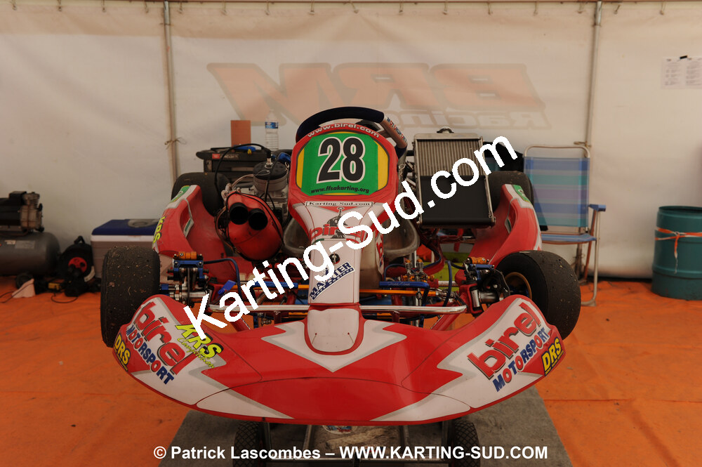 DSC_0319.JPG