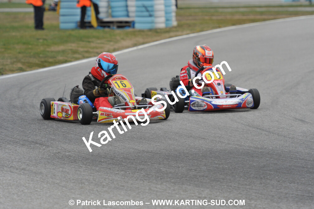 DSC_5537.JPG