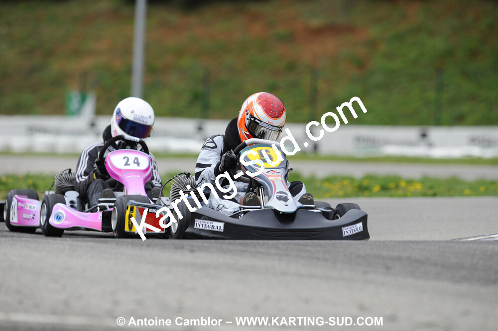 _DSC8678.JPG