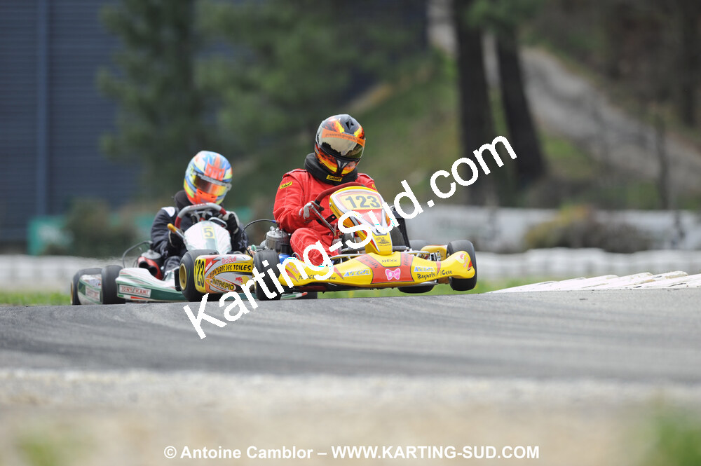 _DSC9005.JPG