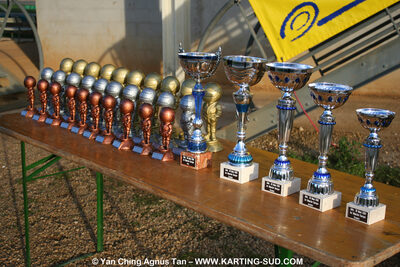 28/03/2010 : 2ème manche du Championnat du Sud 2010 à Alès (photos Yan Ching Agnus) 2010 — karting
