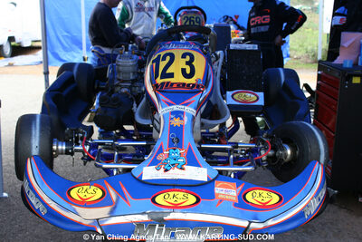 28/03/2010 : 2ème manche du Championnat du Sud 2010 à Alès (photos Yan Ching Agnus) 2010 — karting
