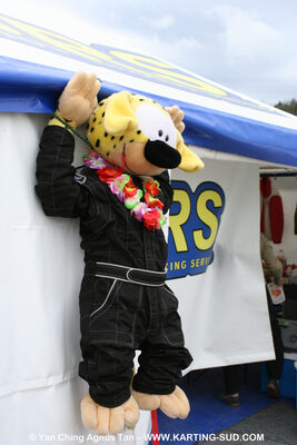 28/03/2010 : 2ème manche du Championnat du Sud 2010 à Alès (photos Yan Ching Agnus) 2010 — karting