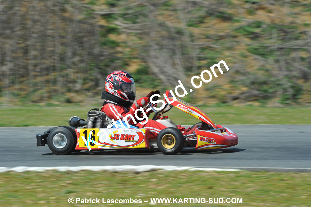 11/04/2010 : 2ème manche du Championnat Régional Open Atlantique 2010 à Layrac (photos Patrick Lascombes) 2010 — karting