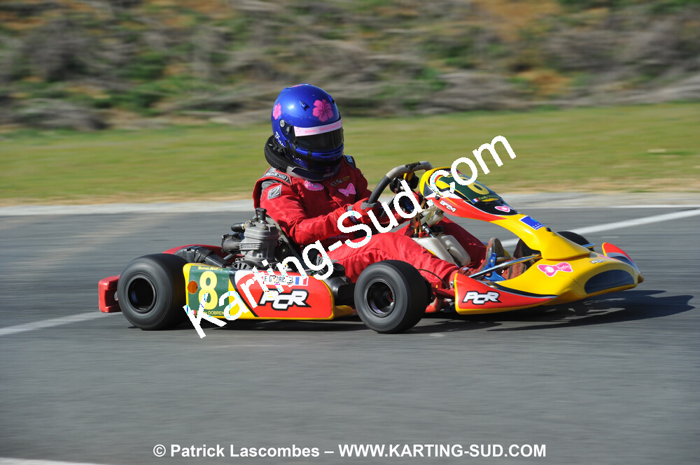 11/04/2010 : 2ème manche du Championnat Régional Open Atlantique 2010 à Layrac (photos Patrick Lascombes) 2010 — karting