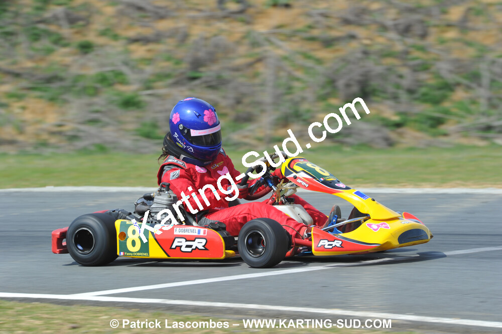 11/04/2010 : 2ème manche du Championnat Régional Open Atlantique 2010 à Layrac (photos Patrick Lascombes) 2010 — karting