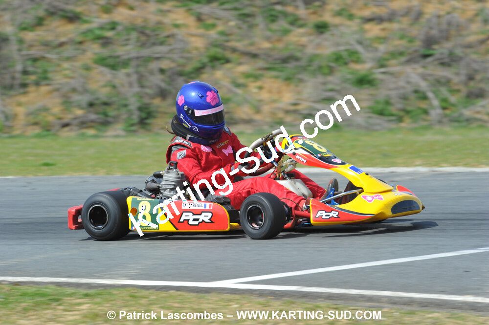 11/04/2010 : 2ème manche du Championnat Régional Open Atlantique 2010 à Layrac (photos Patrick Lascombes) 2010 — karting