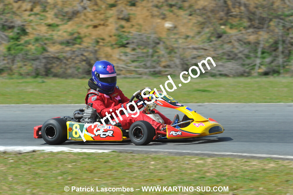 11/04/2010 : 2ème manche du Championnat Régional Open Atlantique 2010 à Layrac (photos Patrick Lascombes) 2010 — karting