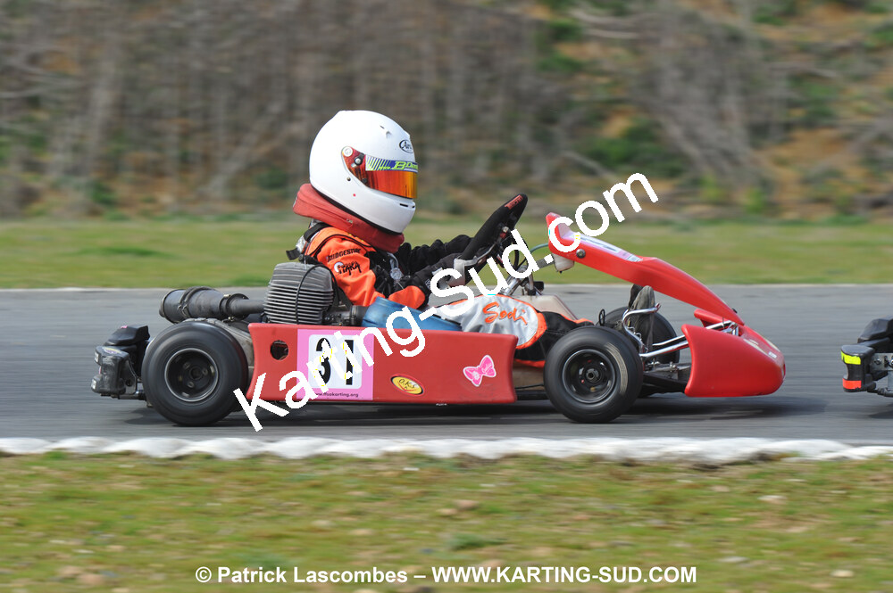 11/04/2010 : 2ème manche du Championnat Régional Open Atlantique 2010 à Layrac (photos Patrick Lascombes) 2010 — karting