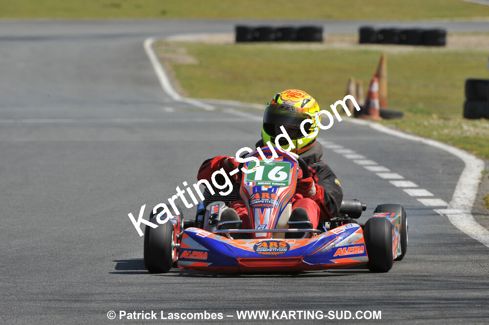 11/04/2010 : 2ème manche du Championnat Régional Open Atlantique 2010 à Layrac (photos Patrick Lascombes) 2010 — karting