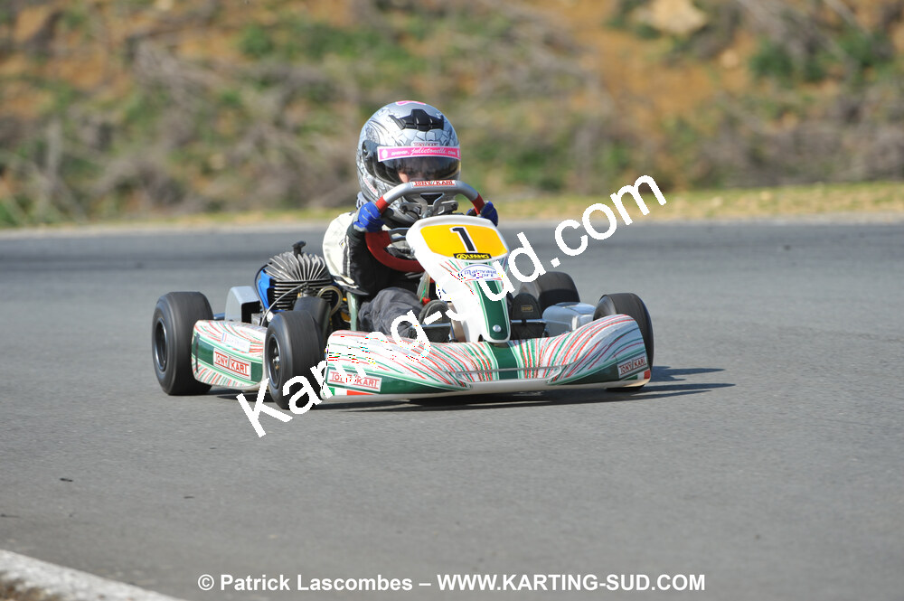 11/04/2010 : 2ème manche du Championnat Régional Open Atlantique 2010 à Layrac (photos Patrick Lascombes) 2010 — karting