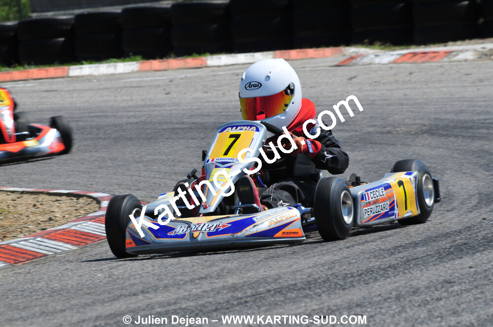 18/04/2010 : 3ème manche du Championnat du Sud 2010 à Carcassonne (photos Julien Dejean) 2010 — karting