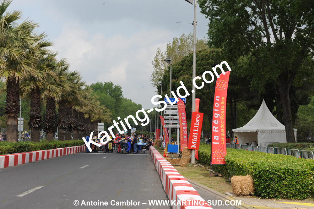 DSC_1204.JPG