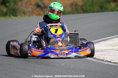 20/06/2010 : 4ème manche du Championnat Régional Open Atlantique 2010 à Layrac (photos Stéphane Agnus) 2010 — karting