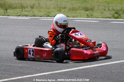 20/06/2010 : 4ème manche du Championnat Régional Open Atlantique 2010 à Layrac (photos Stéphane Agnus) 2010 — karting
