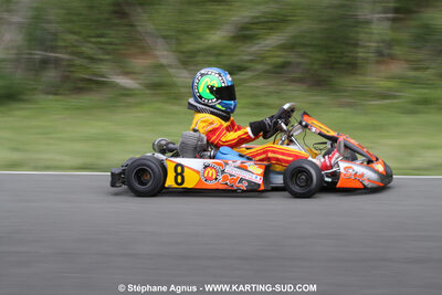 20/06/2010 : 4ème manche du Championnat Régional Open Atlantique 2010 à Layrac (photos Stéphane Agnus) 2010 — karting