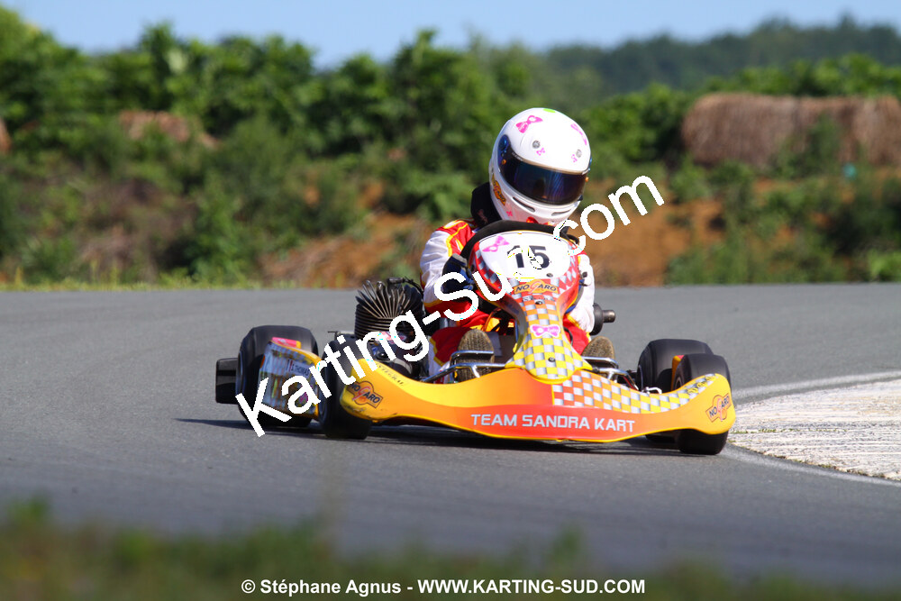 20/06/2010 : 4ème manche du Championnat Régional Open Atlantique 2010 à Layrac (photos Stéphane Agnus) 2010 — karting