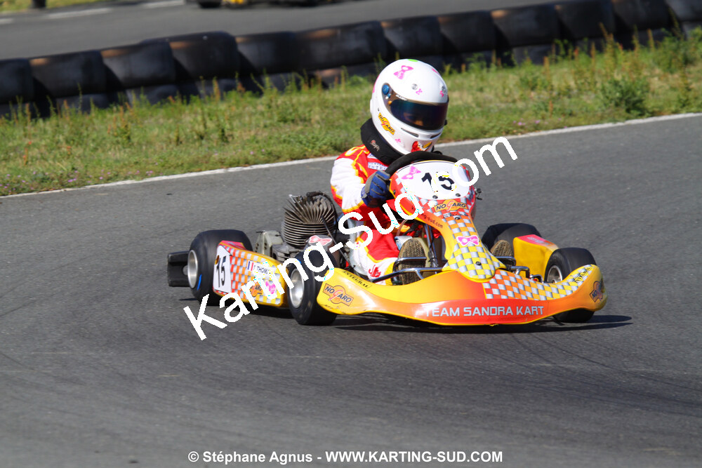 20/06/2010 : 4ème manche du Championnat Régional Open Atlantique 2010 à Layrac (photos Stéphane Agnus) 2010 — karting