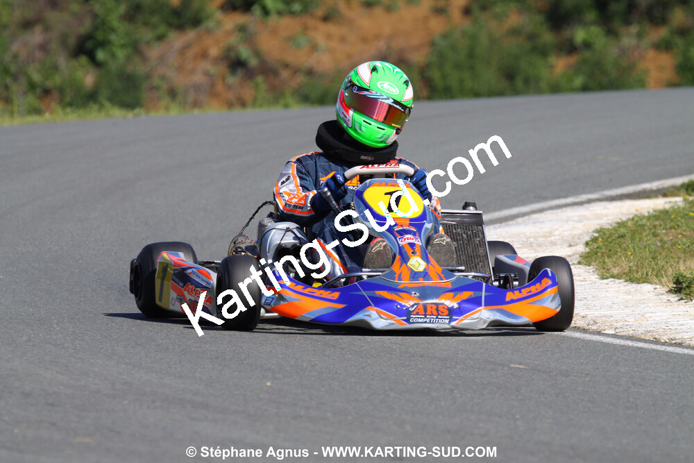 20/06/2010 : 4ème manche du Championnat Régional Open Atlantique 2010 à Layrac (photos Stéphane Agnus) 2010 — karting