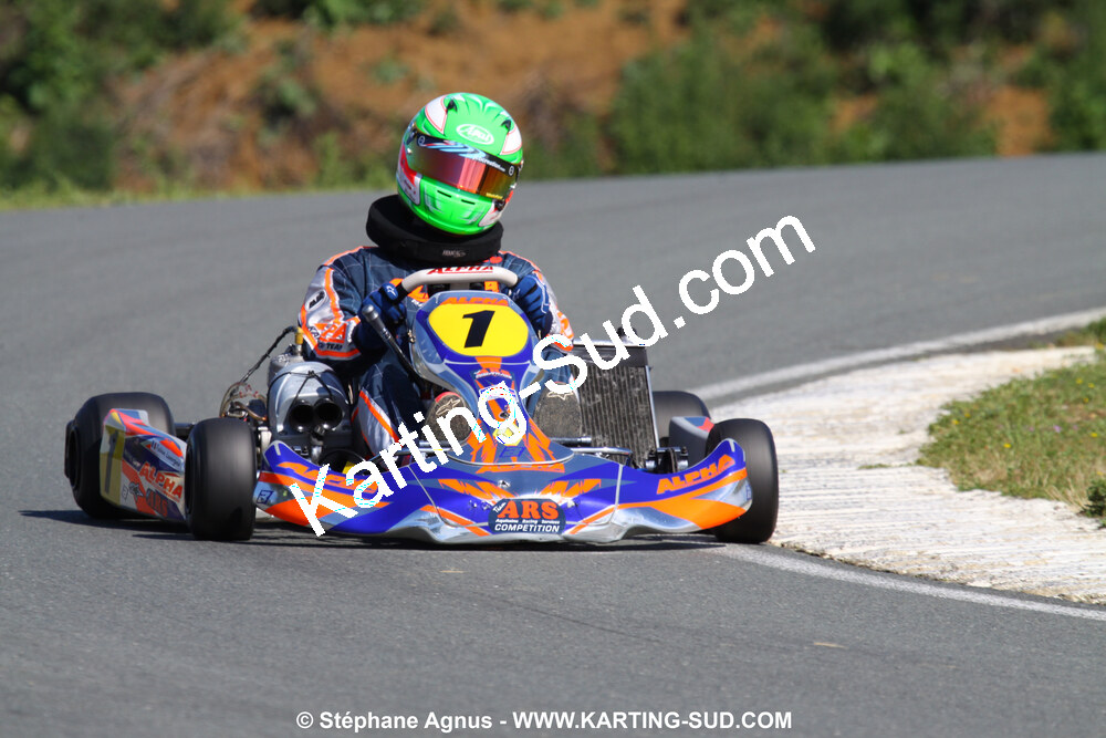 20/06/2010 : 4ème manche du Championnat Régional Open Atlantique 2010 à Layrac (photos Stéphane Agnus) 2010 — karting