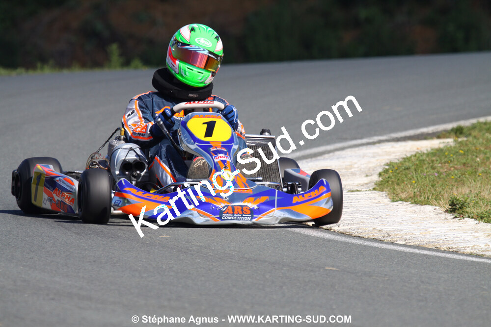 20/06/2010 : 4ème manche du Championnat Régional Open Atlantique 2010 à Layrac (photos Stéphane Agnus) 2010 — karting