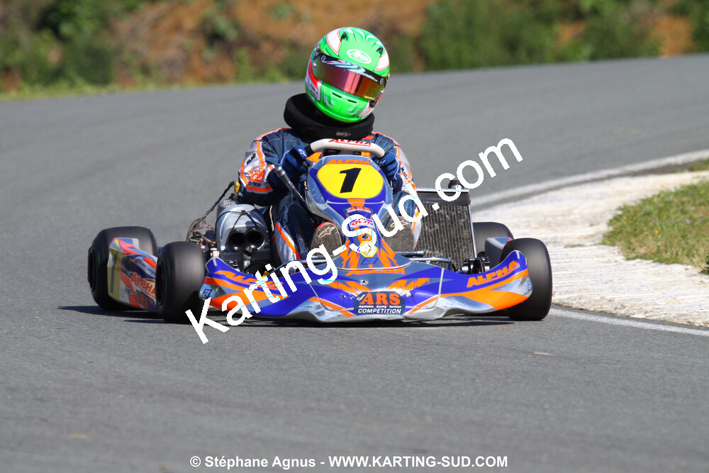 20/06/2010 : 4ème manche du Championnat Régional Open Atlantique 2010 à Layrac (photos Stéphane Agnus) 2010 — karting