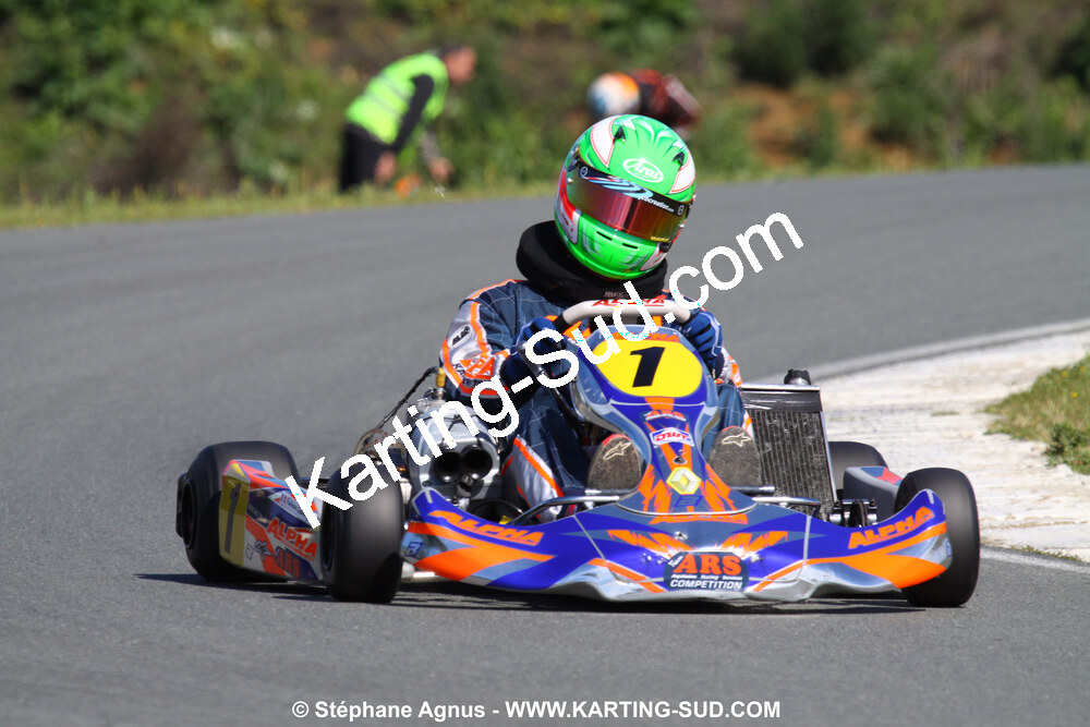 20/06/2010 : 4ème manche du Championnat Régional Open Atlantique 2010 à Layrac (photos Stéphane Agnus) 2010 — karting