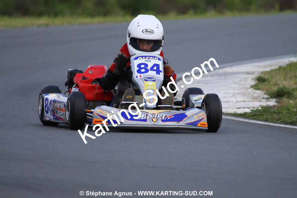 20/06/2010 : 4ème manche du Championnat Régional Open Atlantique 2010 à Layrac (photos Stéphane Agnus) 2010 — karting