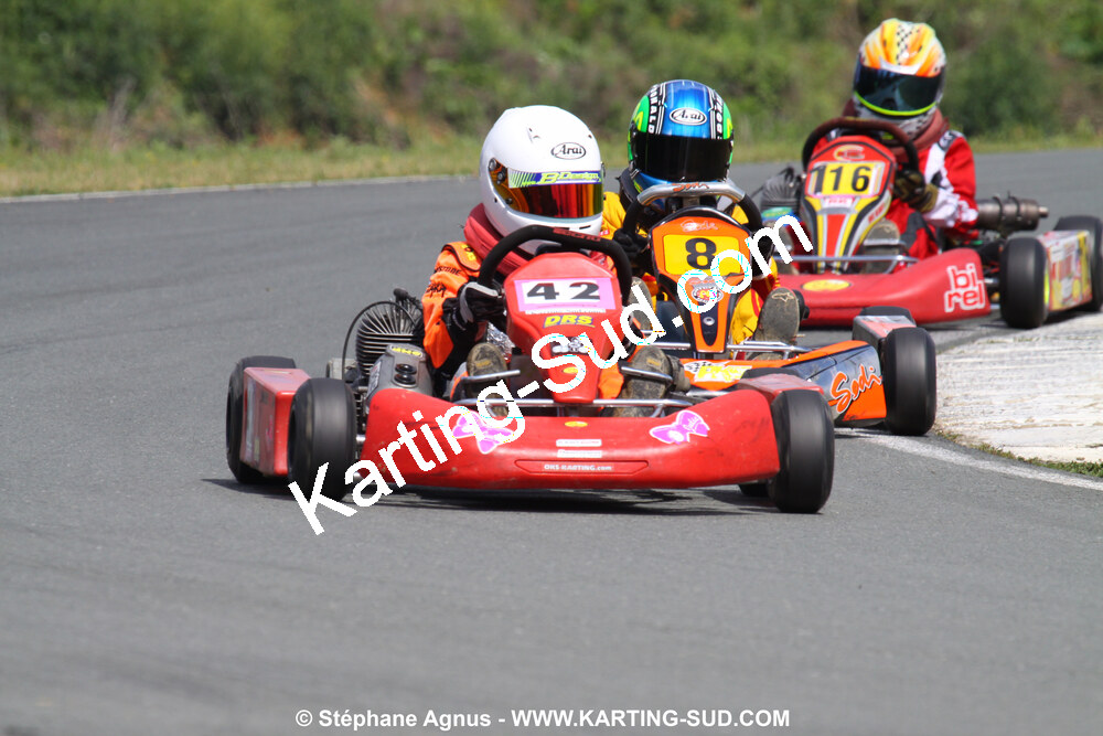 20/06/2010 : 4ème manche du Championnat Régional Open Atlantique 2010 à Layrac (photos Stéphane Agnus) 2010 — karting