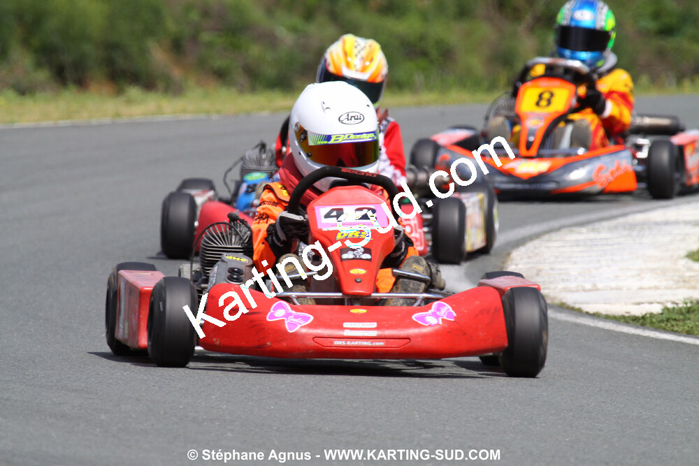 20/06/2010 : 4ème manche du Championnat Régional Open Atlantique 2010 à Layrac (photos Stéphane Agnus) 2010 — karting