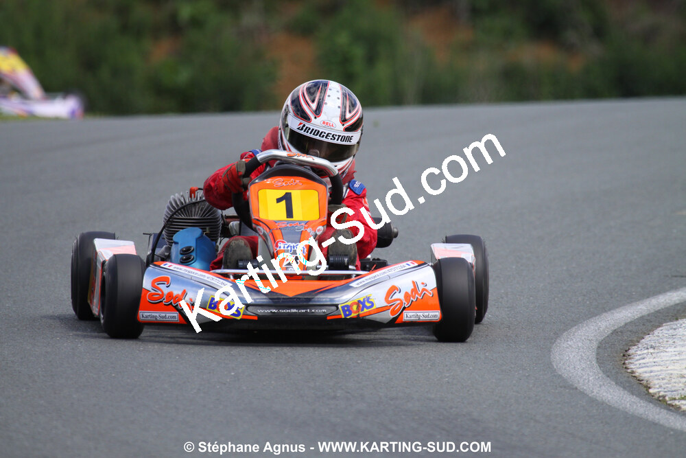 20/06/2010 : 4ème manche du Championnat Régional Open Atlantique 2010 à Layrac (photos Stéphane Agnus) 2010 — karting