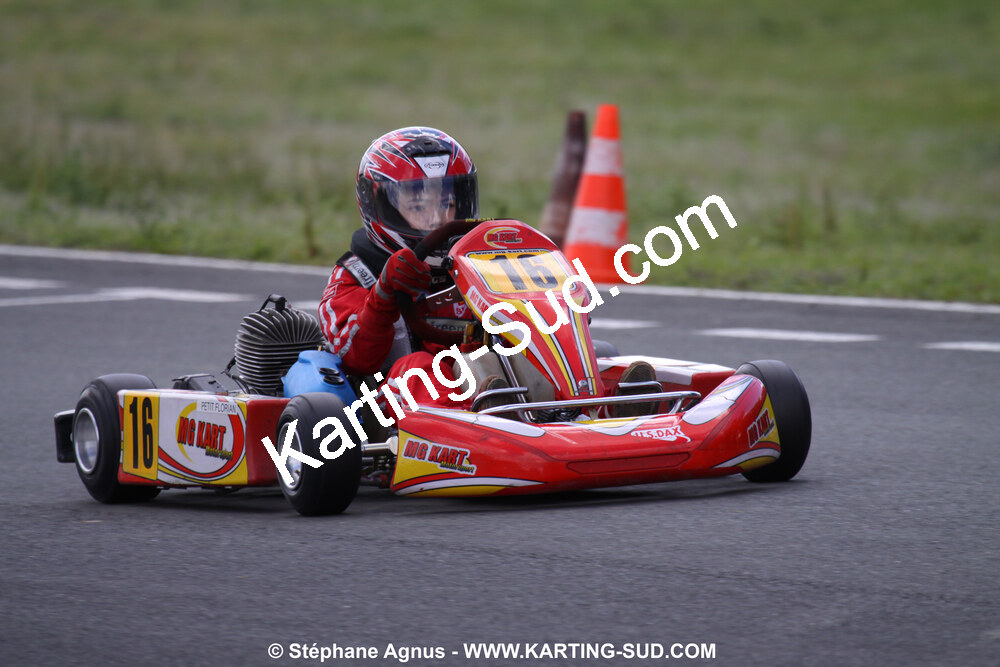 20/06/2010 : 4ème manche du Championnat Régional Open Atlantique 2010 à Layrac (photos Stéphane Agnus) 2010 — karting